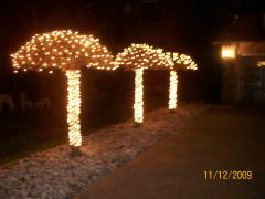 Friday December 11, 2009 20:26 - CHRISTMAS CONCERT AND DRIVE TO SEE LIGHTS 017.jpg